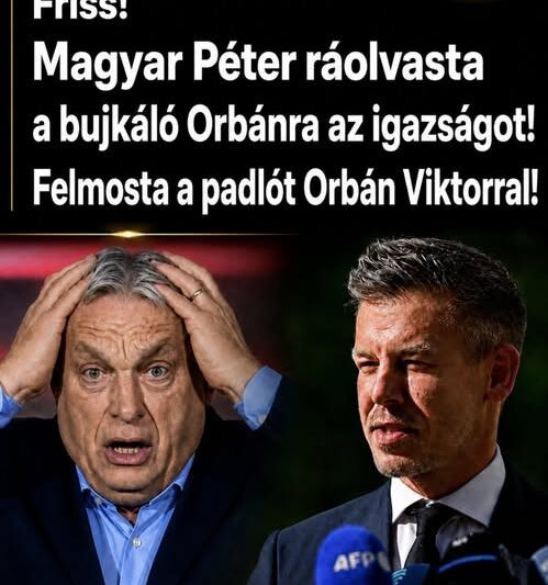 Magyar Péter ráolvasta a bujkáló Orbánra az igazságot!Felmosta a padlót Orbán Viktorral – Ez eddig a legkeményebbkritika
