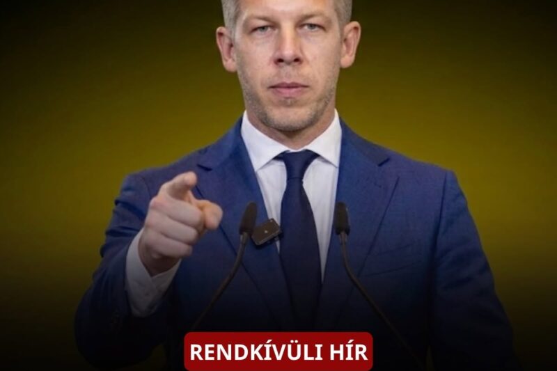 Magyar Péter külföldi körútja új vitákat indított el Európában –