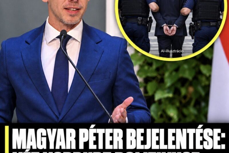 Magyar Péter bejelentése: két korrupt politikust átadunk a nyomozóknak. – MindenegybenBlog – Magyarország Kincsei