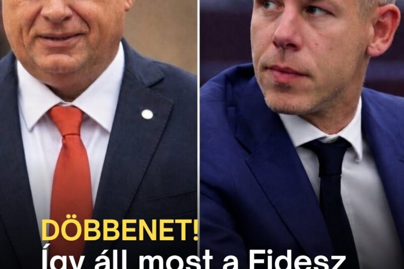 Most jött a friss felmérés, így áll most a Fidesz és a Tisza – Magyarvilag.com – magyarhir.com